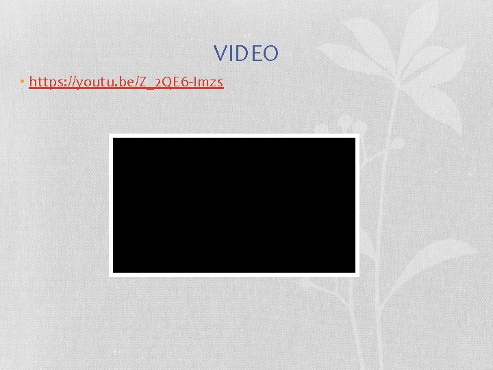 VIDEO • https: //youtu. be/Z_2 QE 6 -Imzs VIDEO • https: //youtu. be/Z_2 QE 6 -Imzs