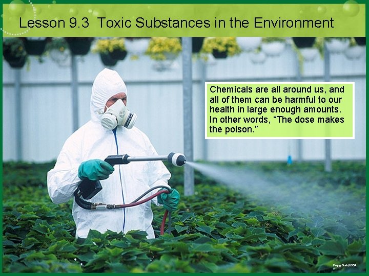 Lesson 9. 3 Toxic Substances in the Environment Chemicals are all around us, and