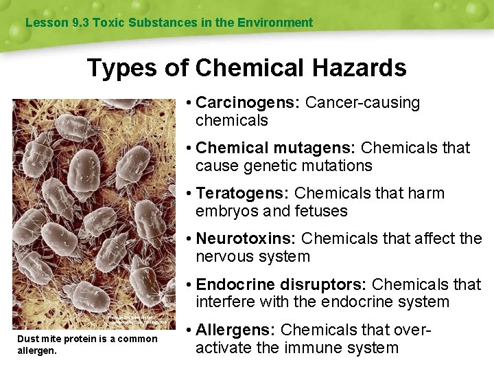 Lesson 9. 3 Toxic Substances in the Environment Types of Chemical Hazards • Carcinogens: