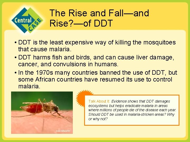 The Rise and Fall—and Rise? —of DDT • DDT is the least expensive way