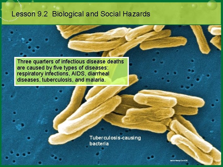 Lesson 9. 2 Biological and Social Hazards Three quarters of infectious disease deaths are