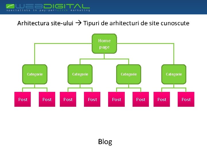 Arhitectura site-ului Tipuri de arhitecturi de site cunoscute Home page Categorie Post Categorie Post