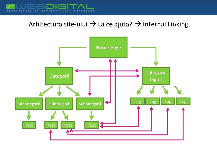 Arhitectura site-ului La ce ajuta? Internal Linking Home Page Categorie taguri Categorii Subcategorii Post