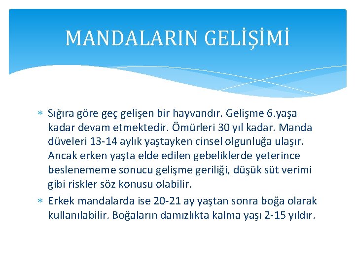 MANDALARIN GELİŞİMİ Sığıra göre geç gelişen bir hayvandır. Gelişme 6. yaşa kadar devam etmektedir.