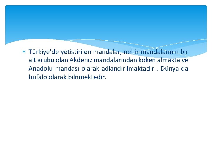  Türkiye’de yetiştirilen mandalar, nehir mandalarının bir alt grubu olan Akdeniz mandalarından köken almakta