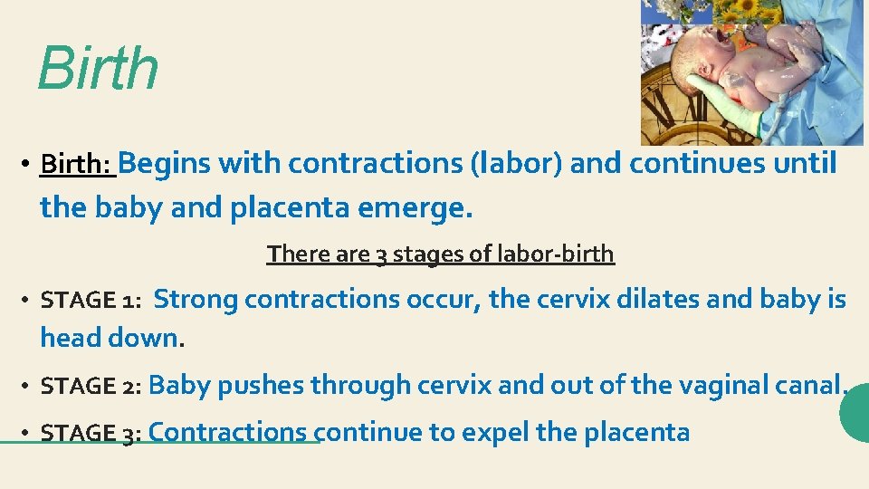 Birth • Birth: Begins with contractions (labor) and continues until the baby and placenta Birth • Birth: Begins with contractions (labor) and continues until the baby and placenta