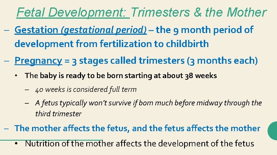Fetal Development: Trimesters & the Mother – Gestation (gestational period) – the 9 month Fetal Development: Trimesters & the Mother – Gestation (gestational period) – the 9 month