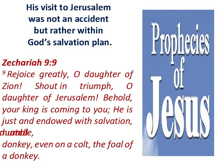 His visit to Jerusalem was not an accident but rather within God’s salvation plan.