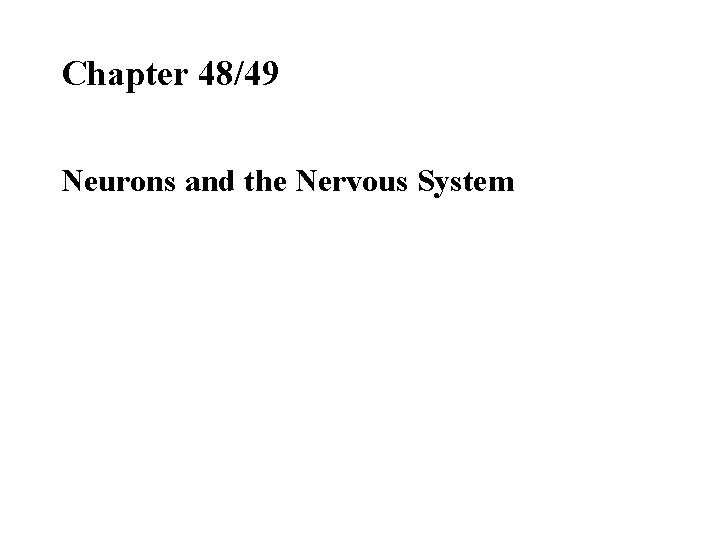 Chapter 48/49 Neurons and the Nervous System 