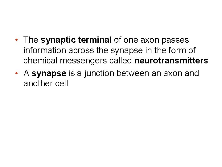  • The synaptic terminal of one axon passes information across the synapse in