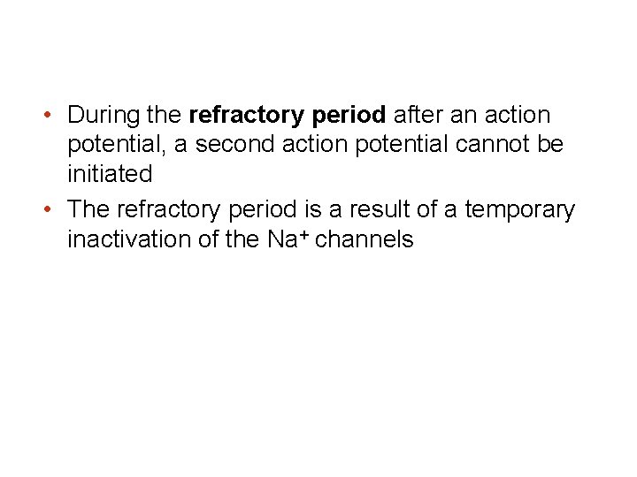  • During the refractory period after an action potential, a second action potential