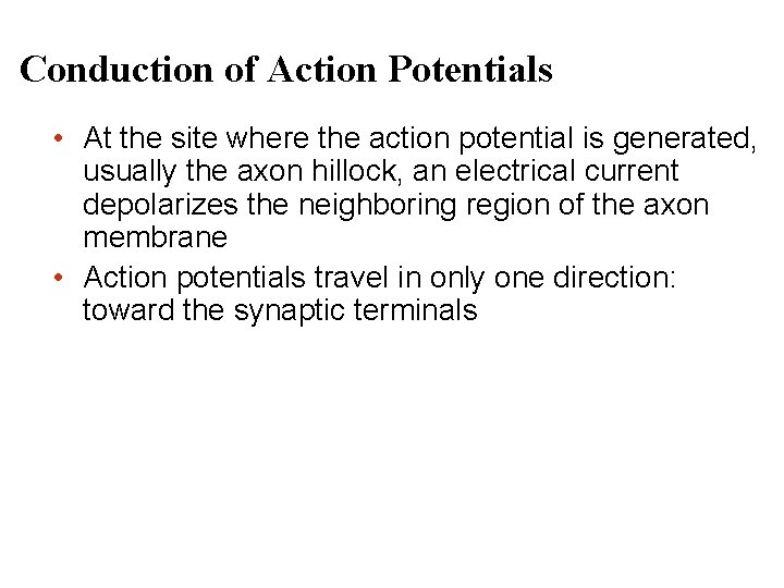 Conduction of Action Potentials • At the site where the action potential is generated,