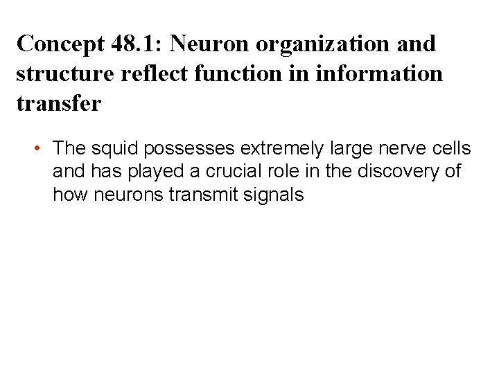 Concept 48. 1: Neuron organization and structure reflect function in information transfer • The
