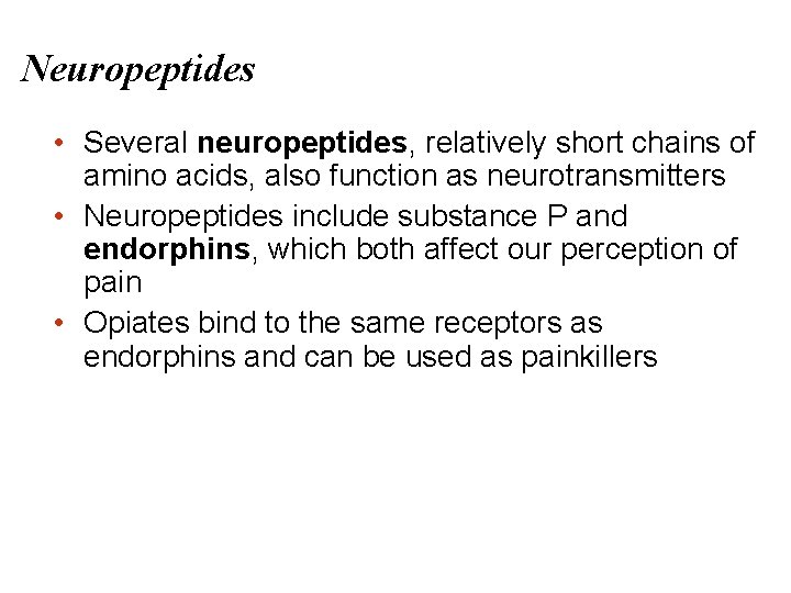 Neuropeptides • Several neuropeptides, relatively short chains of amino acids, also function as neurotransmitters