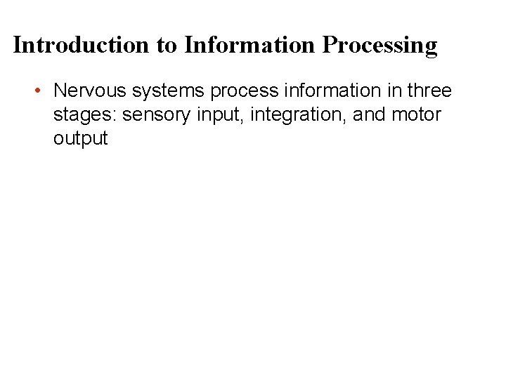 Introduction to Information Processing • Nervous systems process information in three stages: sensory input,