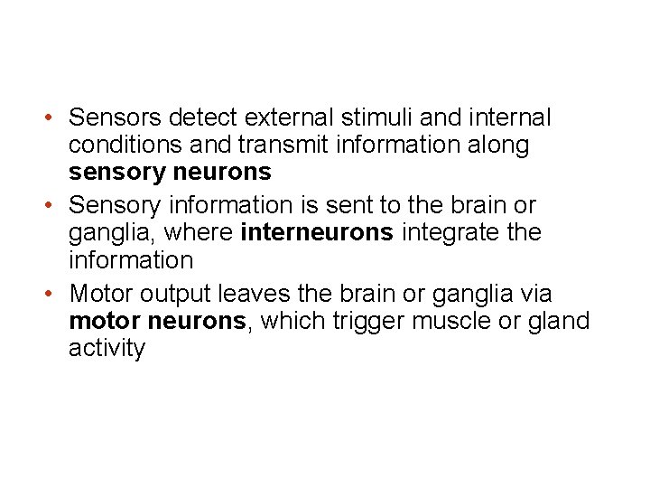  • Sensors detect external stimuli and internal conditions and transmit information along sensory