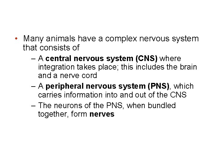 • Many animals have a complex nervous system that consists of – A