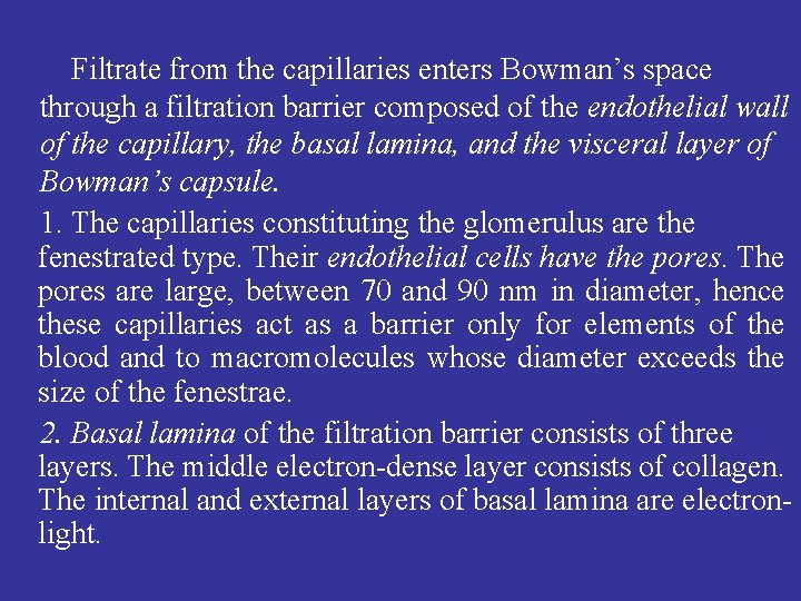 Filtrate from the capillaries enters Bowman’s space through a filtration barrier composed of the