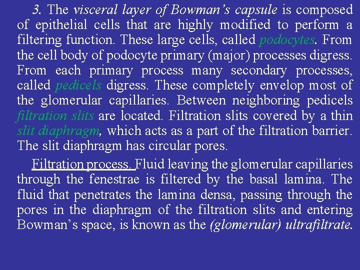 3. The visceral layer of Bowman’s capsule is composed of epithelial cells that are