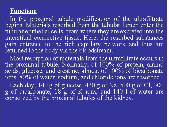 Function: In the proximal tubule modification of the ultrafiltrate begins. Materials resorbed from the