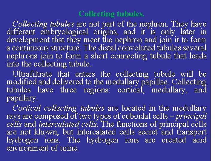 Collecting tubules are not part of the nephron. They have different embryological origins, and