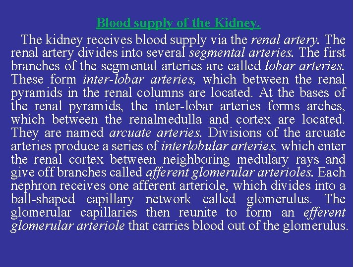 Blood supply of the Kidney. The kidney receives blood supply via the renal artery.
