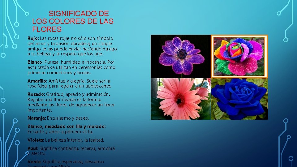 SIGNIFICADO DE LOS COLORES DE LAS FLORES Rojo: Las rosas rojas no sólo son