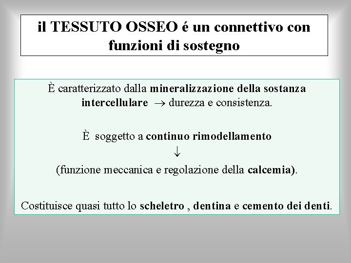 il TESSUTO OSSEO é un connettivo con funzioni di sostegno È caratterizzato dalla mineralizzazione