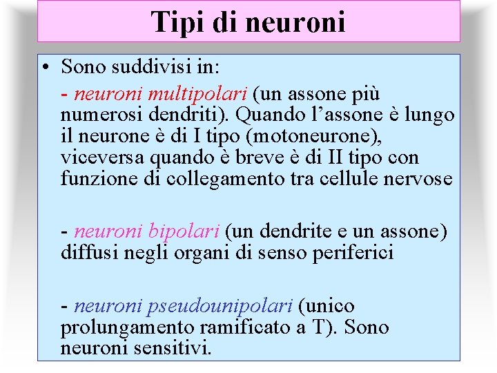 Tipi di neuroni • Sono suddivisi in: - neuroni multipolari (un assone più numerosi
