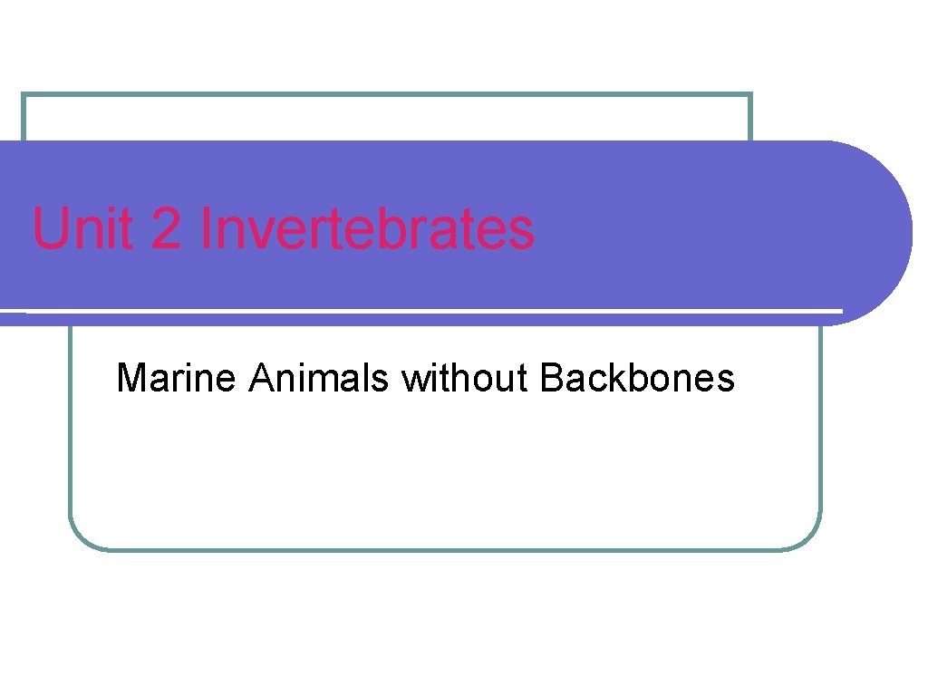 Unit 2 Invertebrates Marine Animals without Backbones 