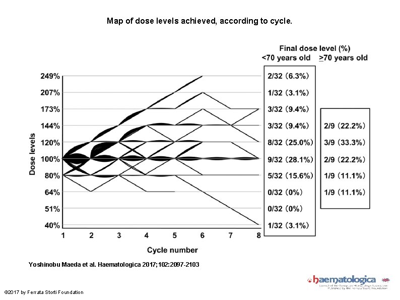 Map of dose levels achieved, according to cycle. Yoshinobu Maeda et al. Haematologica 2017;