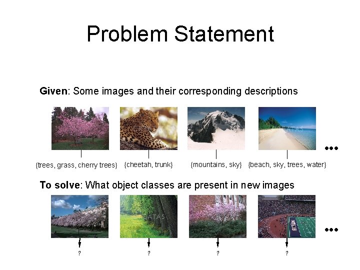 Problem Statement Given: Some images and their corresponding descriptions {trees, grass, cherry trees} {cheetah, Problem Statement Given: Some images and their corresponding descriptions {trees, grass, cherry trees} {cheetah,