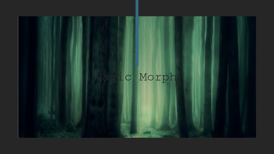 Magic Morph 