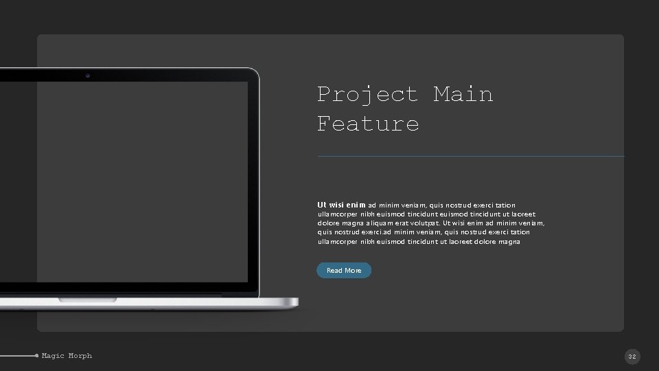 Project Main Feature Ut wisi enim ad minim veniam, quis nostrud exerci tation ullamcorper