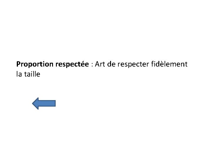 Proportion respectée : Art de respecter fidèlement la taille 