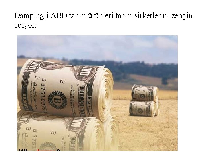 Dampingli ABD tarım ürünleri tarım şirketlerini zengin ediyor. 