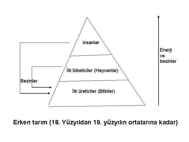 insanlar Enerji ve besinler İlk tüketiciler (Hayvanlar) Besinler İlk üreticiler (Bitkiler) Erken tarım (18.