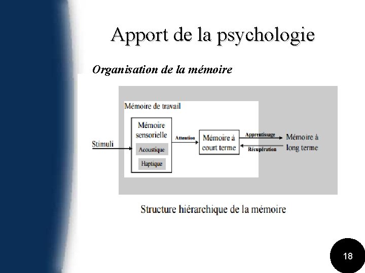 Apport de la psychologie Organisation de la mémoire 18 