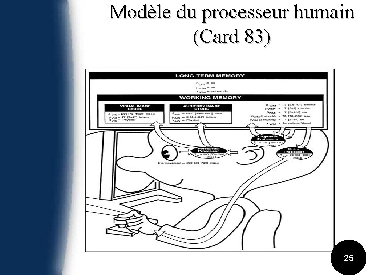 Modèle du processeur humain (Card 83) 25 