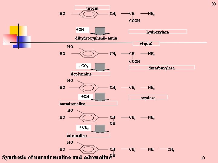 38 tirozin НО СН 2 СН NН 2 СOOН +OН hydroxylaza dihydroxyphenil- amin (dapha)