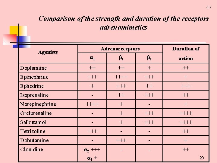 47 Comparison of the strength and duration of the receptors adrenomimetics Agonists Adrenoreceptors Duration