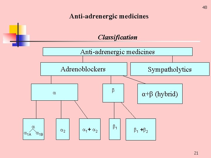 48 Anti-adrenergic medicines Classification Anti adrenergic medicines Adrenoblockers 1 А 1 В Sympatholytics 2