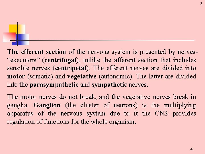 3 The efferent section of the nervous system is presented by nerves “executors” (centrifugal),