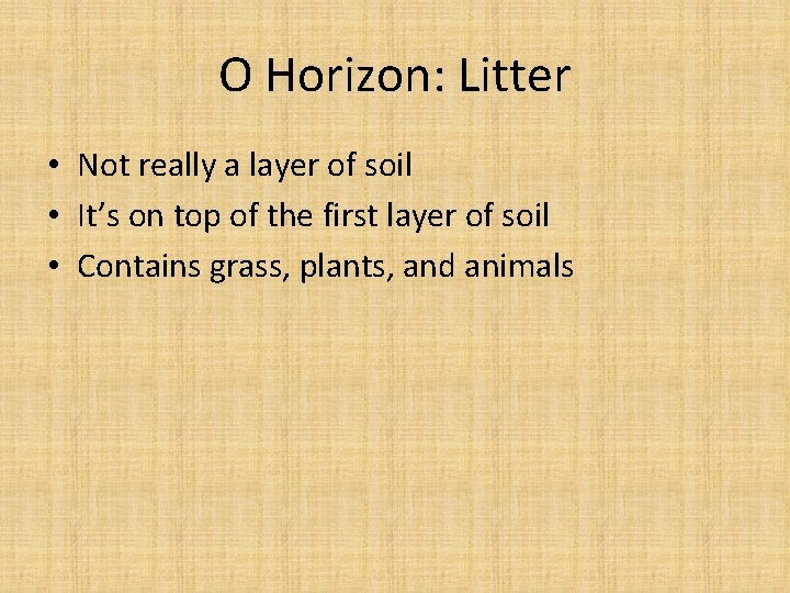 O Horizon: Litter • Not really a layer of soil • It’s on top