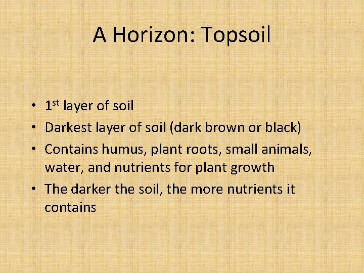 A Horizon: Topsoil • 1 st layer of soil • Darkest layer of soil