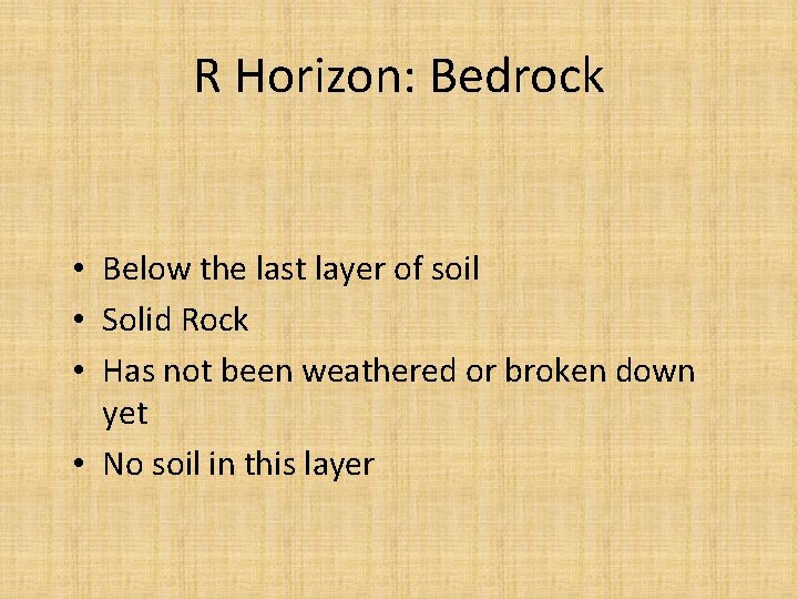 R Horizon: Bedrock • Below the last layer of soil • Solid Rock •