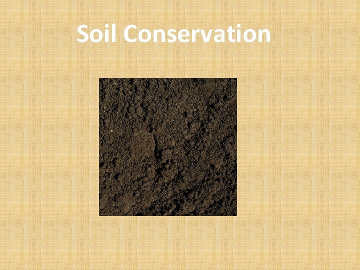 Soil Conservation 