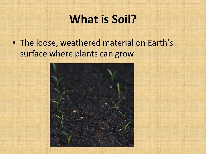 What is Soil? • The loose, weathered material on Earth’s surface where plants can