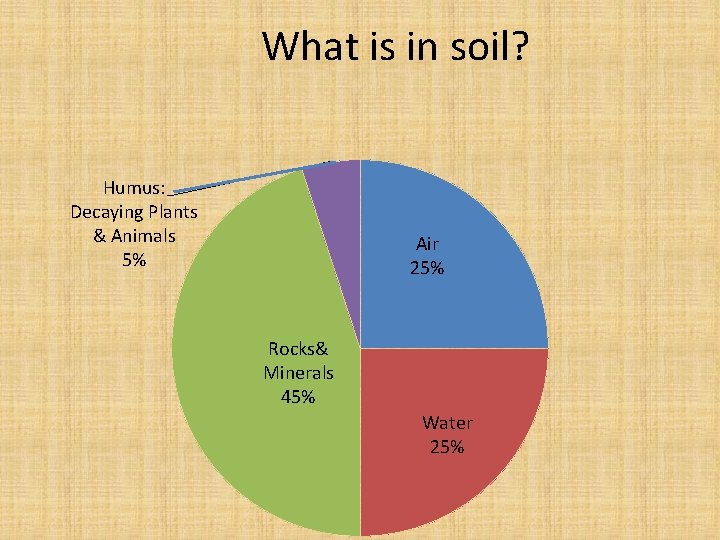 What is in soil? Humus: Decaying Plants & Animals 5% Air 25% Rocks& Minerals