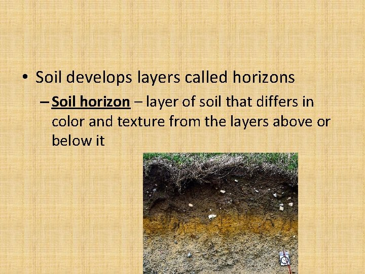  • Soil develops layers called horizons – Soil horizon – layer of soil